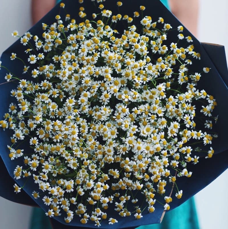 Букет из 21 ромашек "CHAMOMILE" — Фото 3