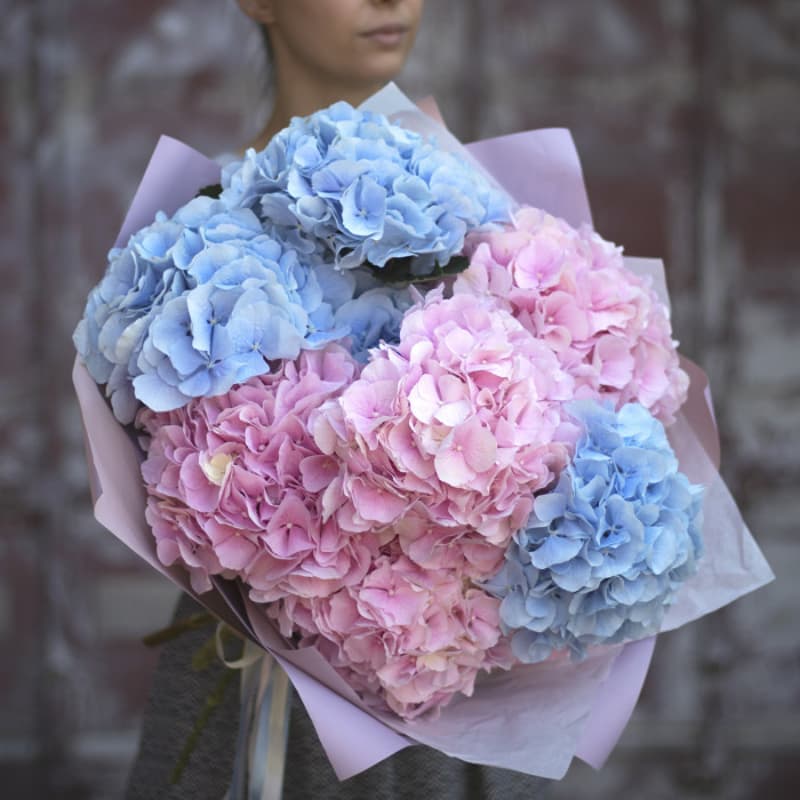 Открыть фото крупно Букет из 7 гортензий "PINK & BLUE" — Фото 2