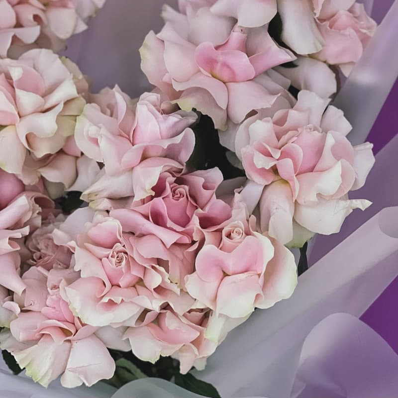 Букет из 25 французских роз "PINK MONDIAL" — Фото 5