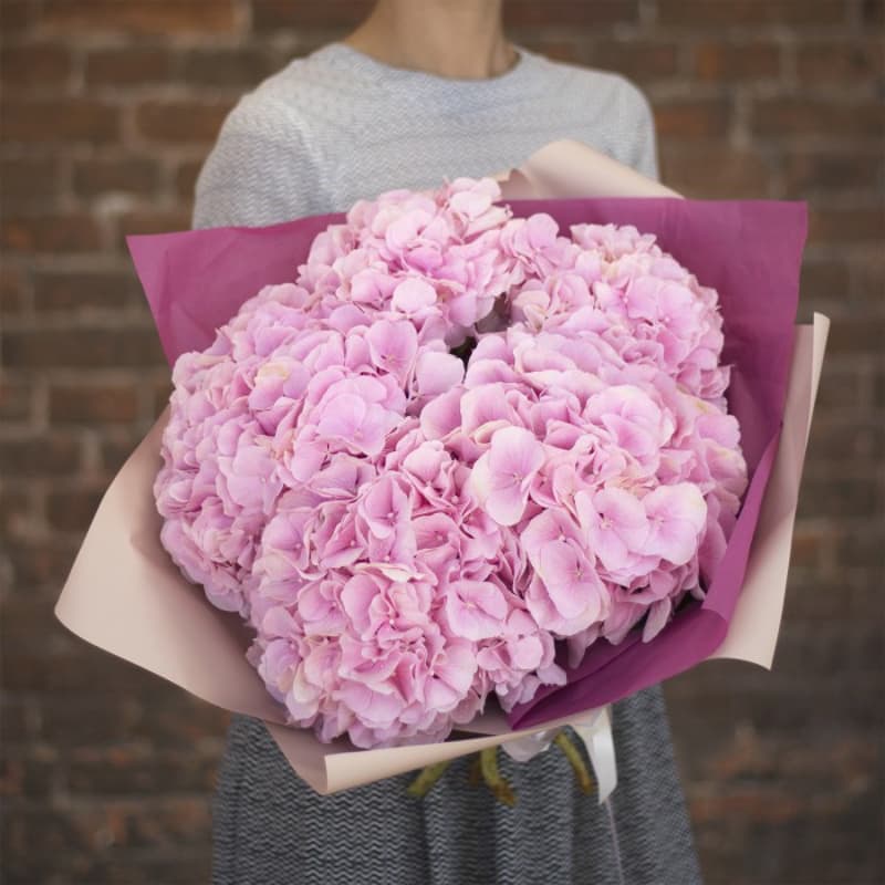 Букет из 5 розовых гортензий "PINK SUMMER"