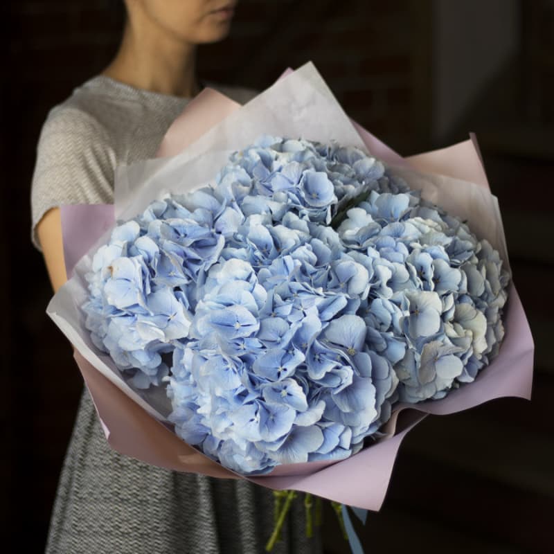 Букет из 5 голубых гортензий "BLUE SUMMER"