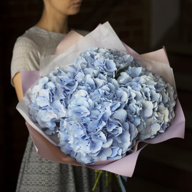 Букет из 5 голубых гортензий "BLUE SUMMER"
