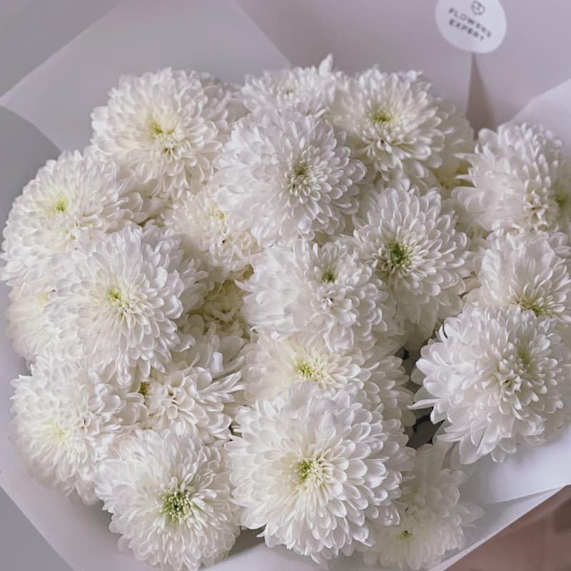 Букет из 19 белых хризантем "SOFT WHITE" — Фото 3