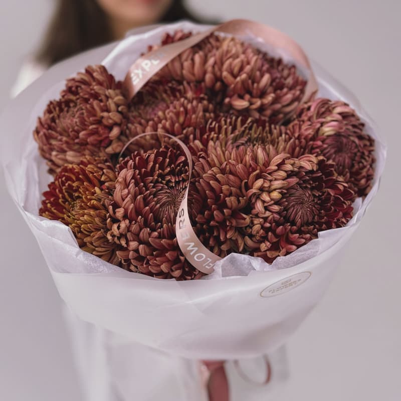 Букет из 9 хризантем "BIGOUDI CHOCOLATE"