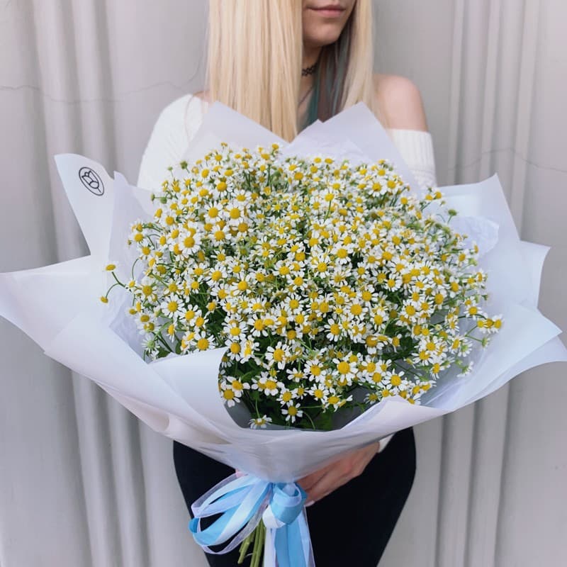 Букет из 25 ромашек "CHARM"