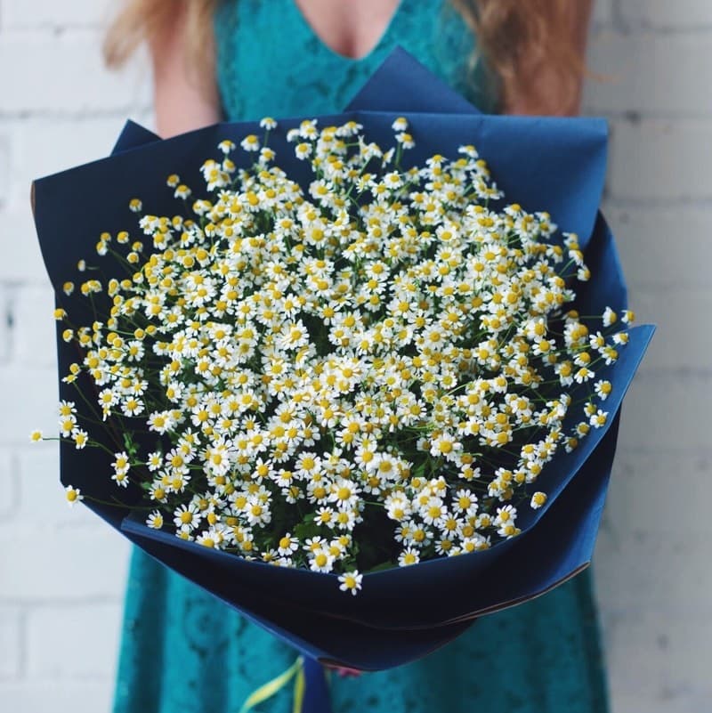 Букет из 21 ромашек "CHAMOMILE" — Фото 2