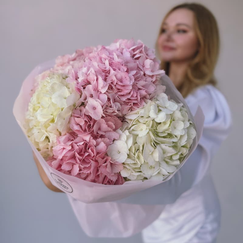 Открыть фото крупно Букет из 5 гортензий "WHITE & PINK"