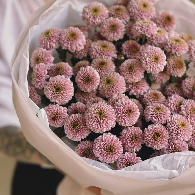 Букет из 15 хризантем сантини "ELLISON SWEET" — Фото 3