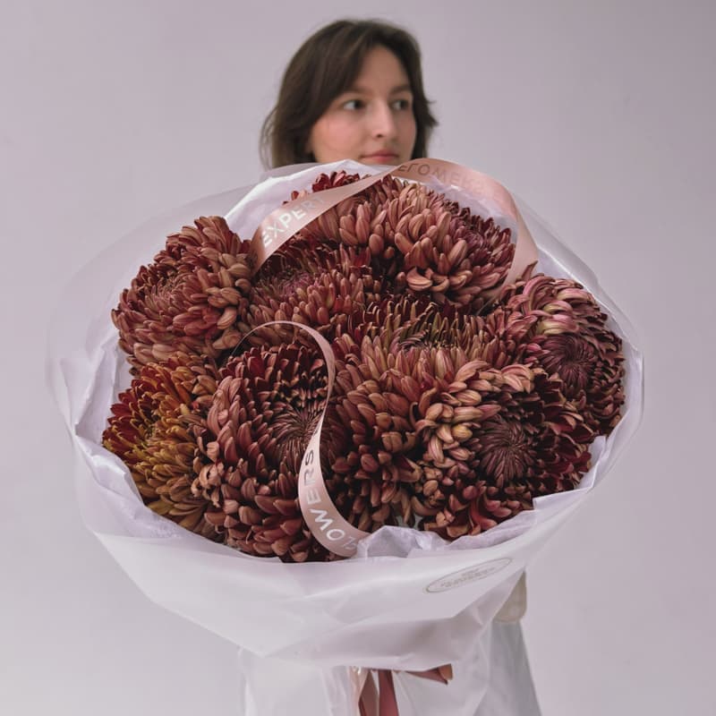 Букет из 9 хризантем "BIGOUDI CHOCOLATE" — Фото 3