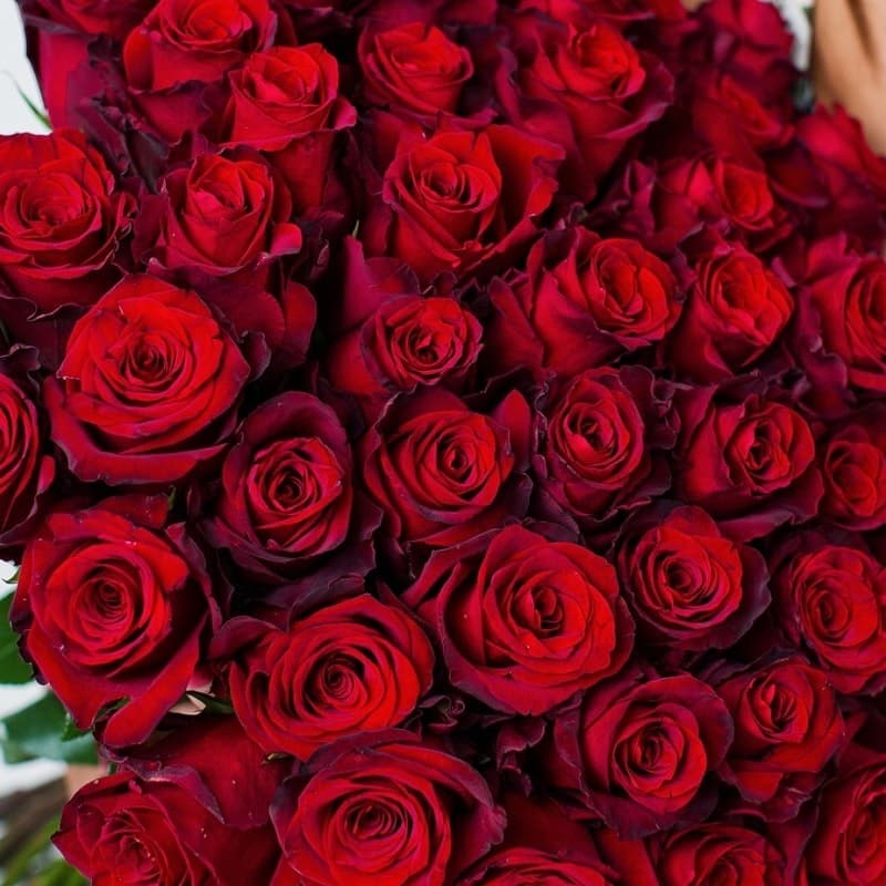 Открыть фото крупно Букет из 51 розы Explorer 60 см "ROSES 18" — Фото 3