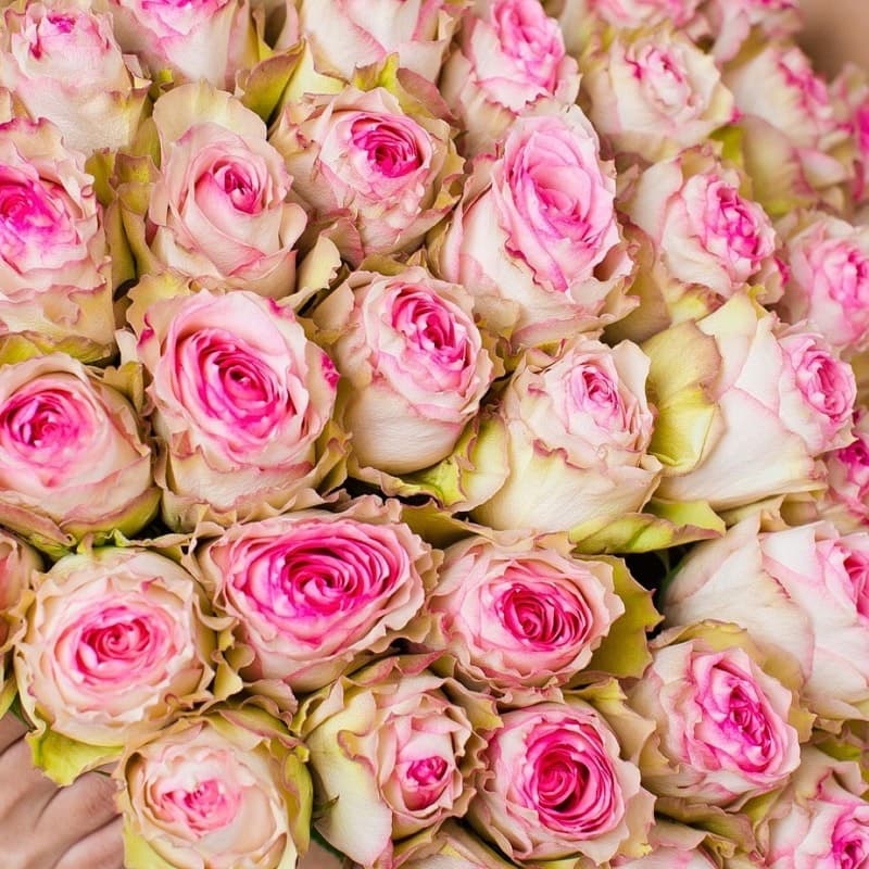 Открыть фото крупно Букет из 51 розы Eesperance 60 см "ROSES 43" — Фото 3