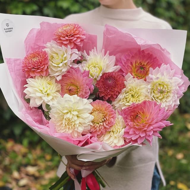 Букет из 15 георгин "DAHLIA"