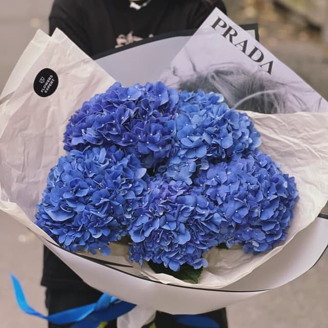 Букет из 5 синих гортензий "AZURE"