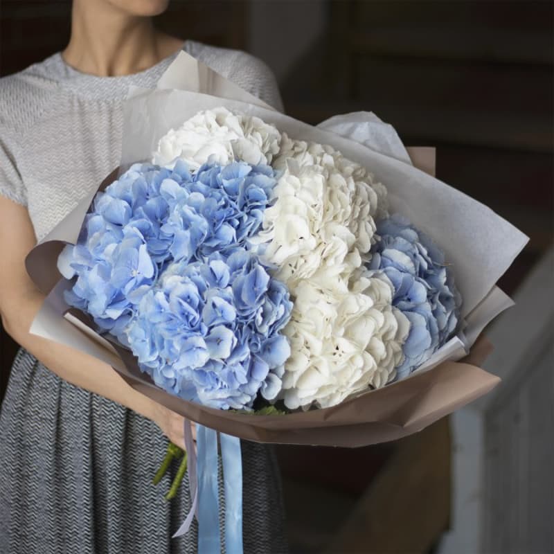 Открыть фото крупно Букет из 7 гортензий "WHITE & BLUE"