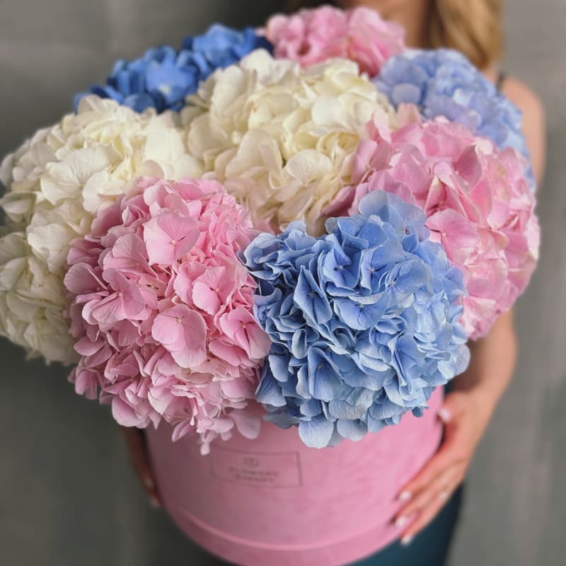 Открыть фото крупно Бархатная коробка с 9 голландскими гортензиями "FRESH SUMMER" — Фото 3